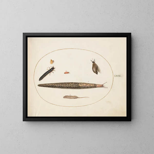 Limace leopard, scarab beetle, larva i robak z ogonkiem oraz inne stworzenia - Joris Hoefnagel — oprawiony obraz na ścianie