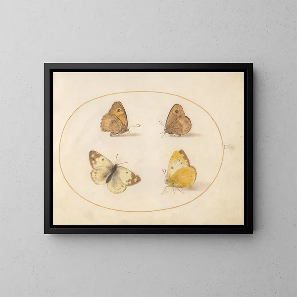 Plaque 09 Papillons Meadow Brown, Gatekeeper, Clouded Yellow i Bath White - Joris Hoefnagel — oprawiony obraz na ścianie