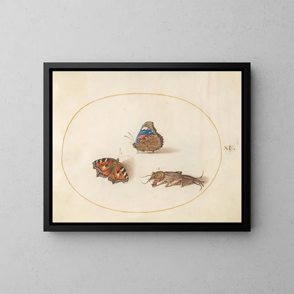 Planche 11 de papillons petite tortue et amiral rouge avec un grillon taupe - Joris Hoefnagel — oprawiony obraz na ścianie