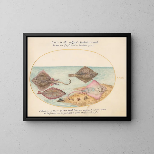Planche 32: Raies avec un œuf et deux poissons plats - Joris Hoefnagel — oprawiony obraz na ścianie