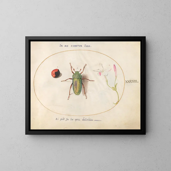 Plaque 42: Biżuteryjny scarab z koralikami różańca i kwiatem oleandra - Joris Hoefnagel — oprawiony obraz na ścianie