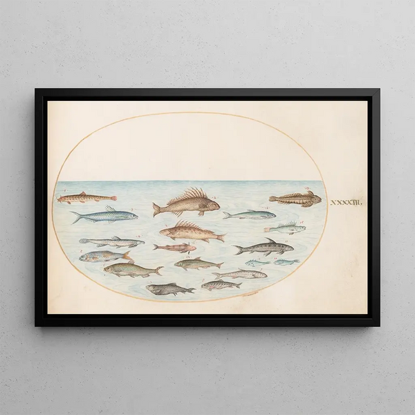 Planche 43, quinze poissons - Joris Hoefnagel — oprawiony obraz na ścianie
