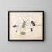 Planche 43: Scarab muszkułowy, scarab oleisty, scarab z nagietka, karaluch, pluskwa z liściastymi odnóżami i inne owady - Joris Hoefnagel — oprawiony obraz na ścianie