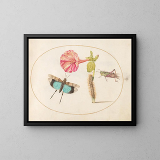 Joris Hoefnagel - Plate 51 Grasshoppers and a Caterpillar with a Four OClock Flower.webp