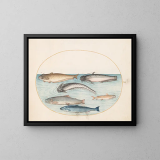 Joris Hoefnagel - Plate 5 Three Catfish a Salmon and Two Other Fish.webp