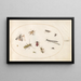 Planche 64, onze insectes dont une libellule et un longicorne - Joris Hoefnagel — oprawiony obraz na ścianie