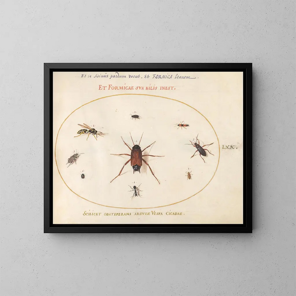 Planche 70: Un gardon entouré d'insectes - Joris Hoefnagel — oprawiony obraz na ścianie