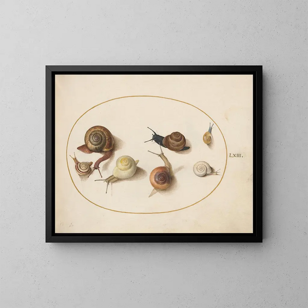 Sept escargots - Joris Hoefnagel — oprawiony obraz na ścianie