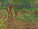 Zbiór ziemniaków - Josef Kinzel — widok dzieła