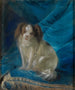 Portret dżentelmena - Josef Melling — widok dzieła