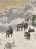 Gämse en hiver - Josef Schmitzberger — widok dzieła