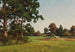 W polu - Josef Willroider — widok dzieła