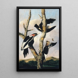 Joseph Bartholomew Kidd - Ivorybilled Woodpeckers.webp