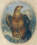 Adler - Joseph Hasslwander — widok dzieła