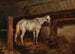 Biały koń w stajni - Joseph Heicke — widok dzieła
