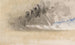 Le Carnet de Croquis de la Manche 35 - Joseph Mallord William Turner — widok dzieła