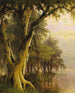 Niskie ziemie Florydy - Joseph Rusling Meeker — widok dzieła