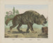 Hyena - Joseph Scholz — widok dzieła