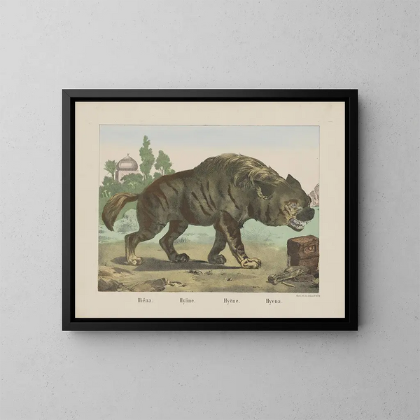Hyena - Joseph Scholz — oprawiony obraz na ścianie