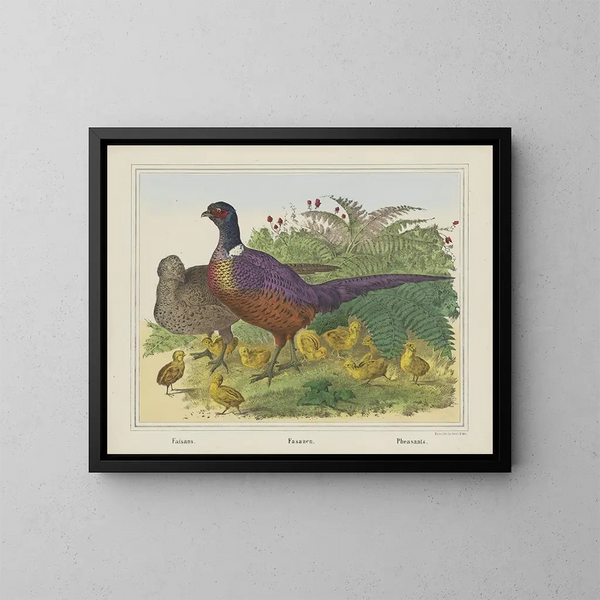 Pheasants - Joseph Scholz — oprawiony obraz na ścianie