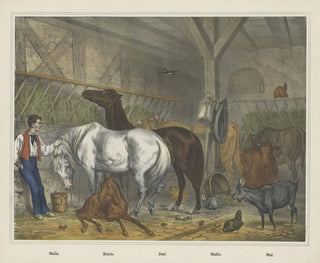 Joseph Scholz - Stable.webp