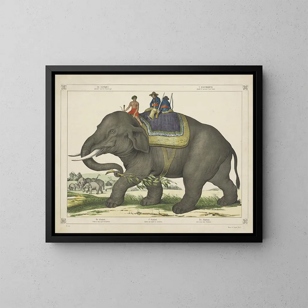 L'éléphant chassait d'autres éléphants - Joseph Scholz — oprawiony obraz na ścianie