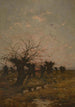 Zachód słońca w Kampinie - Joseph Théodore Coosemans — widok dzieła