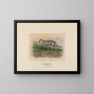 Joseph Wolf - Azaras Fox.webp
