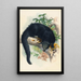 Le Binturong - Joseph Wolf — oprawiony obraz na ścianie