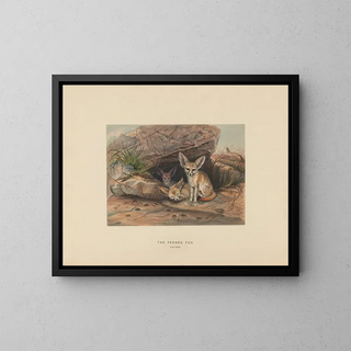 Joseph Wolf - The Fennec Fox.webp