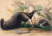 Le grand fourmilier - Joseph Wolf — widok dzieła