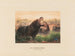 L'Hippopotame - Joseph Wolf — widok dzieła