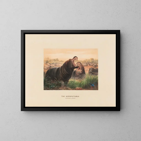L'Hippopotame - Joseph Wolf — oprawiony obraz na ścianie