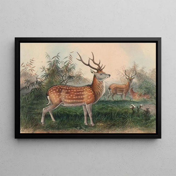 Le Cerf japonais - Joseph Wolf — oprawiony obraz na ścianie