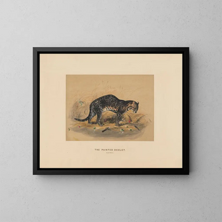 L'ocelot peint - Joseph Wolf — oprawiony obraz na ścianie