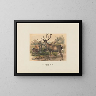 Joseph Wolf - The Persian Deer.webp
