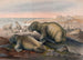 Le Morse - Joseph Wolf — widok dzieła