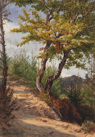 Jozef Van Lerius - Schwalbach Nassau.webp