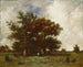 Dęby Fontainebleau - Jules Dupré — widok dzieła