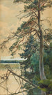 Biały - Julian Fałat — widok dzieła