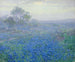 Pojedynczy pochmurny dzień, niebieskie bonny w pobliżu San Antonio, Teksas - Julian Onderdonk — widok dzieła