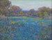 Pola niebieskich chabrow pod popołudniowym światłem słonecznym - Julian Onderdonk — widok dzieła