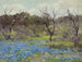 Wczesnej wiosny, Bluebonnets i Mesquite - Julian Onderdonk — widok dzieła