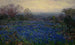 Bez tytułu, pole Bluebonnets - Julian Onderdonk — widok dzieła