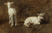 Studium dwóch jagniąt - Juliette Peyrol-Bonheur — widok dzieła