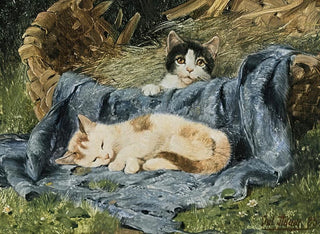 Julius Adam the younger - Two Kittens.webp