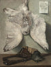 Harfang des neiges - Karel Purkyně — widok dzieła