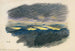 Studium natury XLII - Karl Wiener — widok dzieła