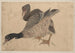 Album szkiców autorstwa i jego uczniów Cz. 37 - Katsushika Hokusai — widok dzieła