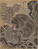 Małp - Kawanabe Kyōsai — widok dzieła